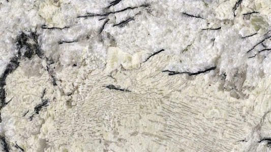 Granite - Delicatus White